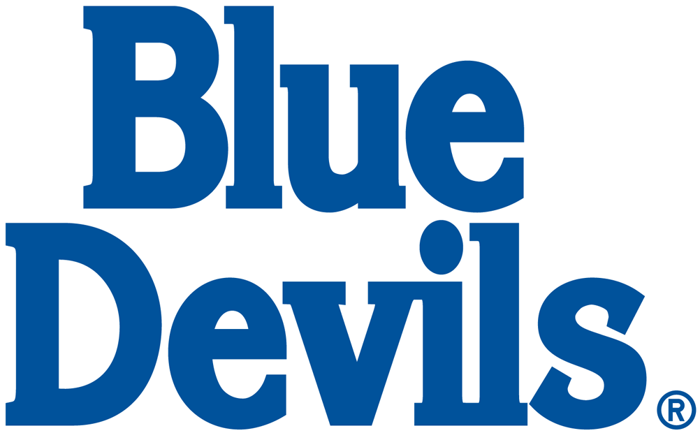 Duke Blue Devils 1978-Pres Wordmark Logo v2 diy fabric transfer